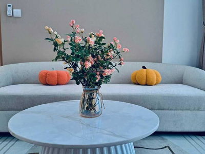 The Antonia, Vietnam The Antonia, Vietnam