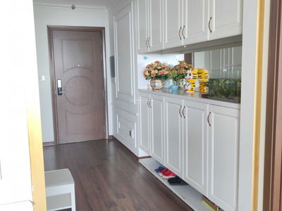 N01-T1 Diplomatic Corps, Vietnam N01-T1 Diplomatic Corps, Vietnam