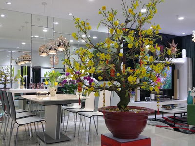 Sunrise City, Vietnam  Sunrise City, Vietnam