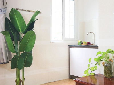 606 3/2 Street, Vietnam 606 3/2 Street, Vietnam