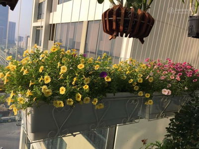 Indochina Plaza, Vietnam Indochina Plaza, Vietnam