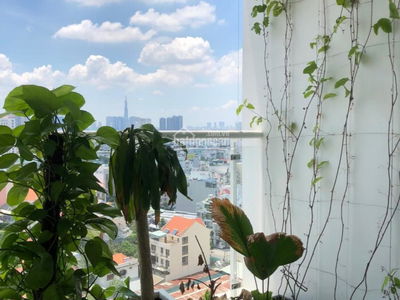 Hoang Anh Thanh Binh Hoang Anh Thanh Binh