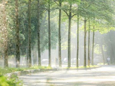 Haven Park Residences, Vietnam Haven Park Residences, Vietnam