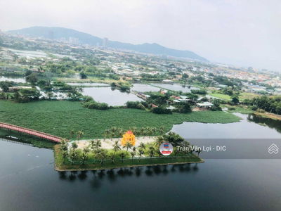 Dic Phoenix, Vietnam Dic Phoenix, Vietnam