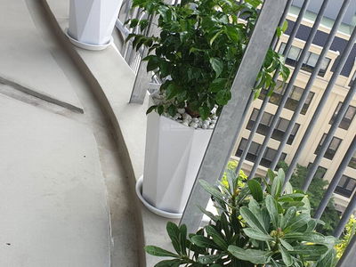 Waterina Suites, Vietnam Waterina Suites, Vietnam