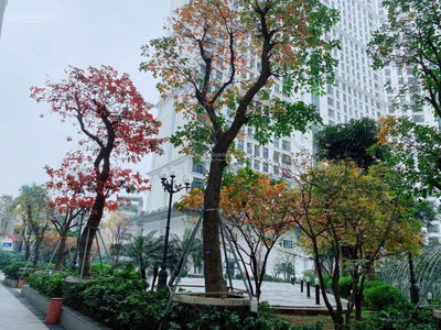 The Emerald, Vietnam The Emerald, Vietnam