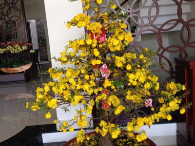 Him Lam Kenh Te, Vietnam  Him Lam Kenh Te, Vietnam