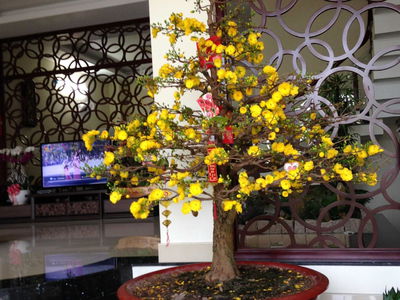 Him Lam Kenh Te, Vietnam  Him Lam Kenh Te, Vietnam