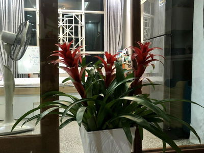 Chanh Hung Apartment - Giai Viet, Vietnam Chanh Hung Apartment - Giai Viet, Vietnam