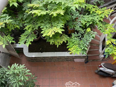 Le Duan Street, Vietnam Le Duan Street, Vietnam