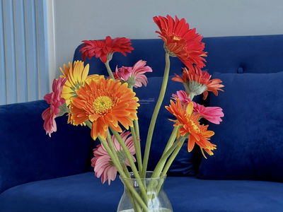 Vinhomes Grand Park, Vietnam Vinhomes Grand Park, Vietnam