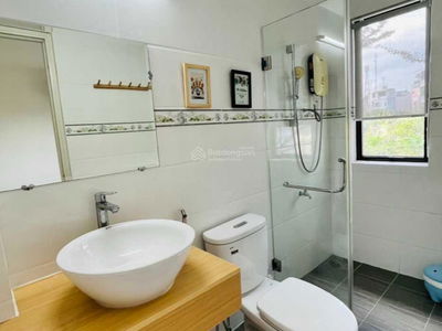 Camellia Garden, Vietnam Camellia Garden, Vietnam