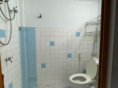 Alley 11, Vietnam Alley 11, Vietnam