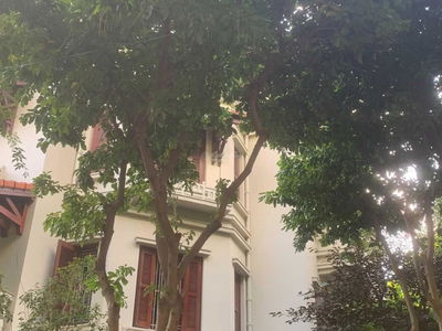 Trung Yen Street, Vietnam Trung Yen Street, Vietnam