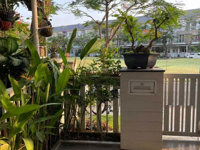 Thap Muoi Merita, Vietnam Thap Muoi Merita, Vietnam