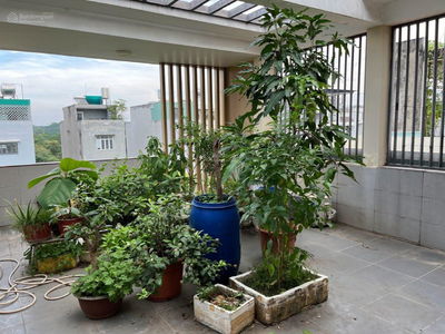 Hung Phu 1, Vietnam Hung Phu 1, Vietnam