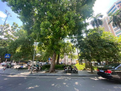 Lane 44, Vietnam Lane 44, Vietnam