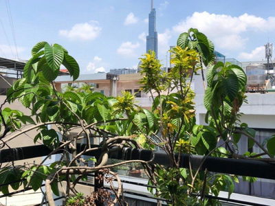 Do Quang Street, Vietnam Do Quang Street, Vietnam