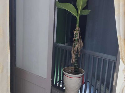 Ha Huy Tap Street, Vietnam Ha Huy Tap Street, Vietnam