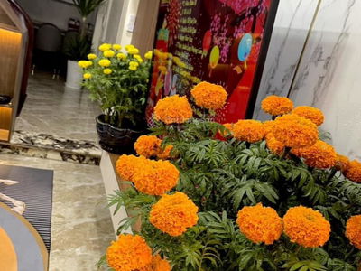 Thach Ban Street, Vietnam  Thach Ban Street, Vietnam