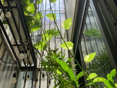 Nguyen Oanh Street, Vietnam Nguyen Oanh Street, Vietnam