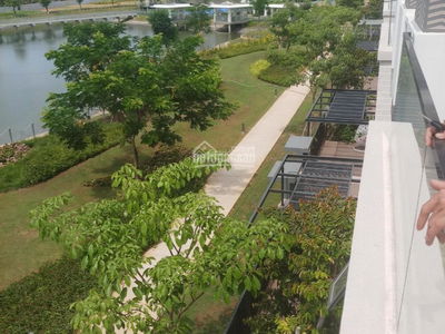 Lavila Kien A - Nha Be, Vietnam  Lavila Kien A - Nha Be, Vietnam