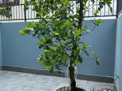 Street 711, Vietnam  Street 711, Vietnam