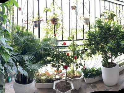 Ngoc Thuy Street, Vietnam Ngoc Thuy Street, Vietnam