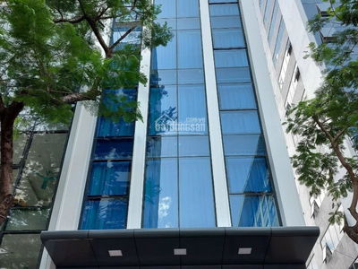 Tran Quy Kien Street, Vietnam Tran Quy Kien Street, Vietnam