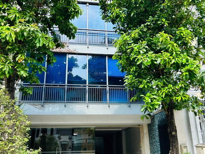 Bau Cat Street Bau Cat Street