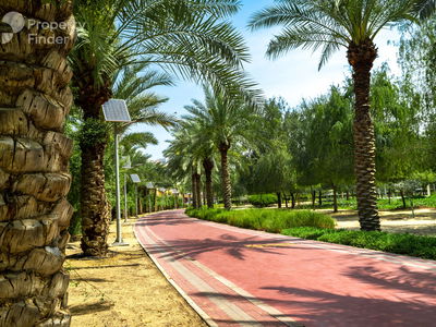 Ghalia, United Arab Emirates  Ghalia, United Arab Emirates