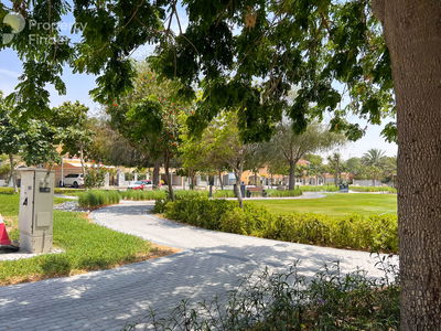 Legacy, United Arab Emirates  Legacy, United Arab Emirates