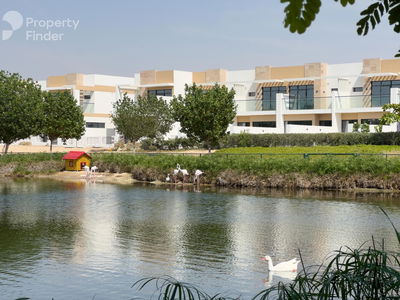 Acacia, United Arab Emirates  Acacia, United Arab Emirates