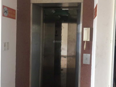 91, Vietnam 91, Vietnam