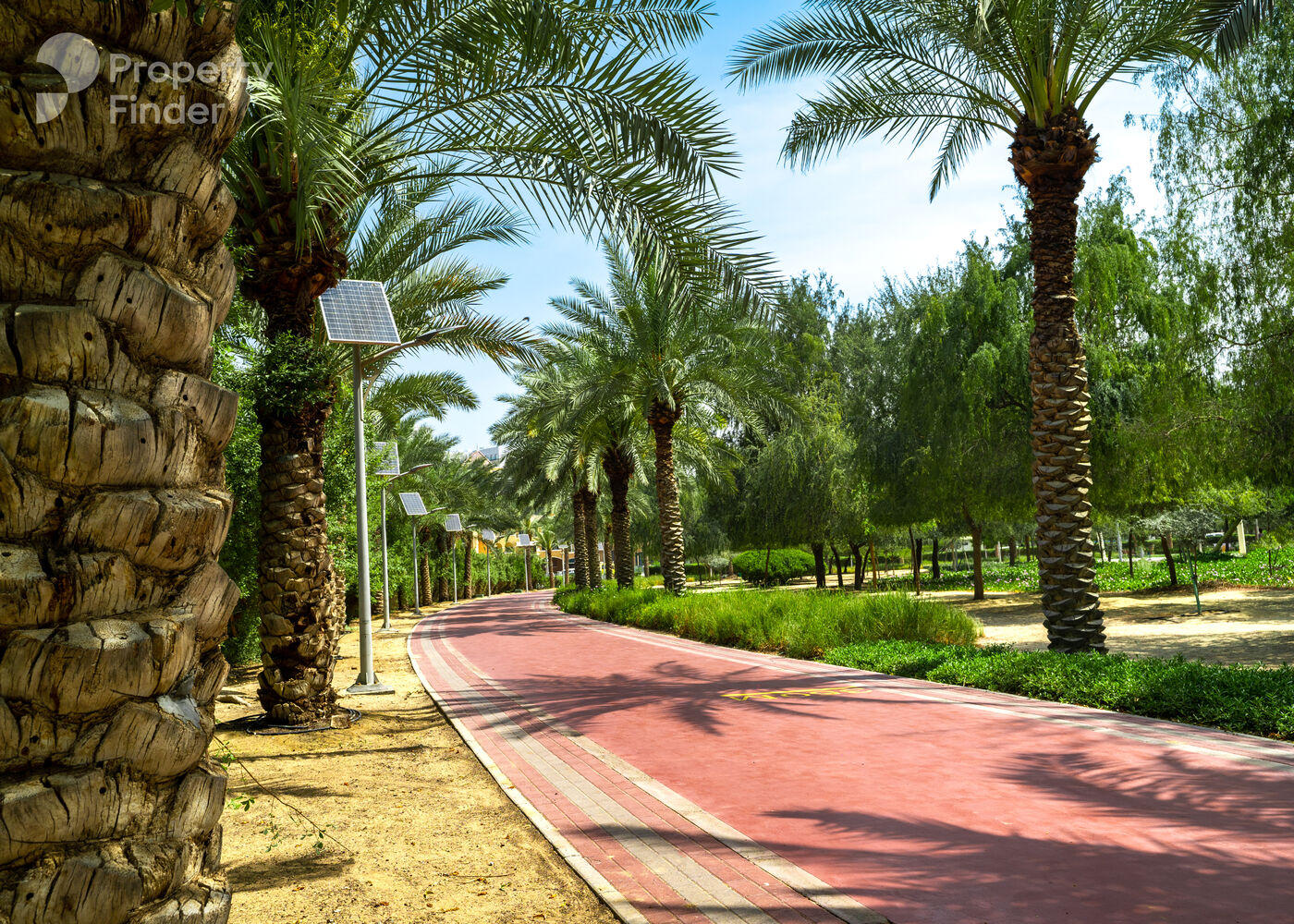 Rigel, United Arab Emirates Rigel, United Arab Emirates