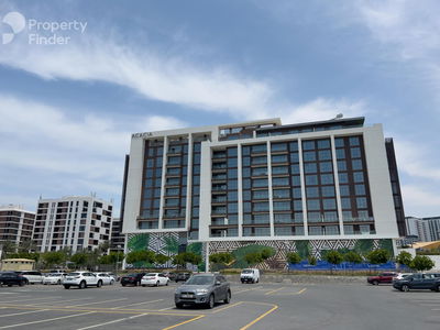 Mulberry, United Arab Emirates  Mulberry, United Arab Emirates