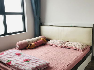 Hateco Apollo, Vietnam Hateco Apollo, Vietnam