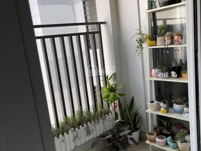 An Gia Garden, Vietnam An Gia Garden, Vietnam