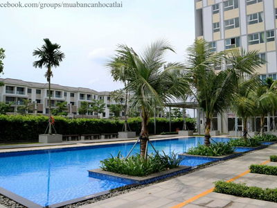 Citi This, Vietnam Citi This, Vietnam