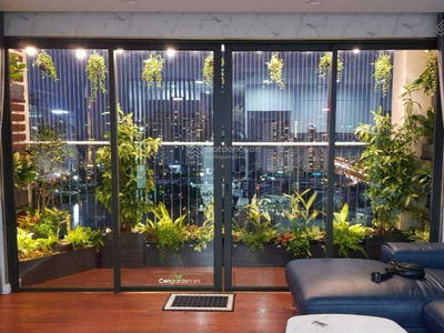 The Pride, Vietnam The Pride, Vietnam