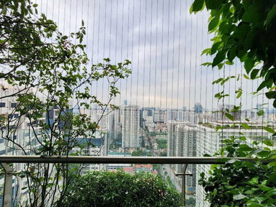 GoldSeason, Vietnam GoldSeason, Vietnam