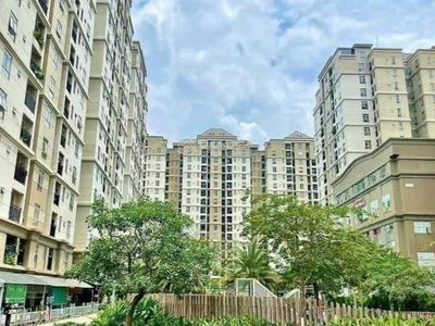 The Art, Vietnam The Art, Vietnam