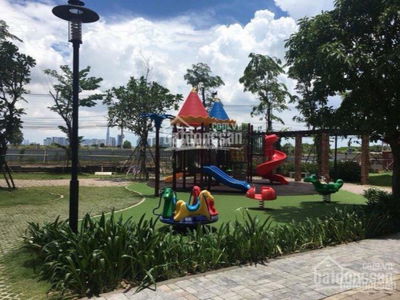 Flora Cherry, Vietnam Flora Cherry, Vietnam