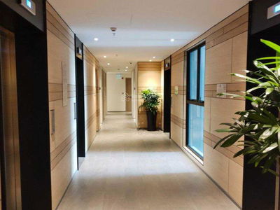 Zenith, Vietnam Zenith, Vietnam