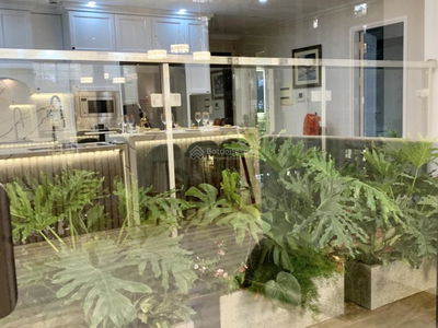 Iris Garden, Vietnam Iris Garden, Vietnam