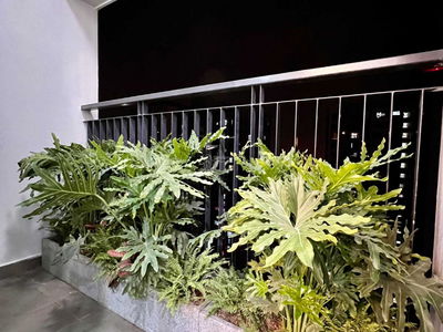 Hanoi Paragon, Vietnam Hanoi Paragon, Vietnam