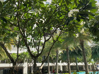 LuxGarden, Vietnam LuxGarden, Vietnam