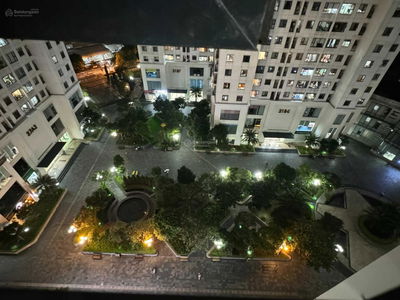 Green Stars, Vietnam Green Stars, Vietnam