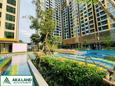 Of The Sun, Vietnam Of The Sun, Vietnam