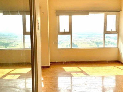 Flora Cherry, Vietnam Flora Cherry, Vietnam